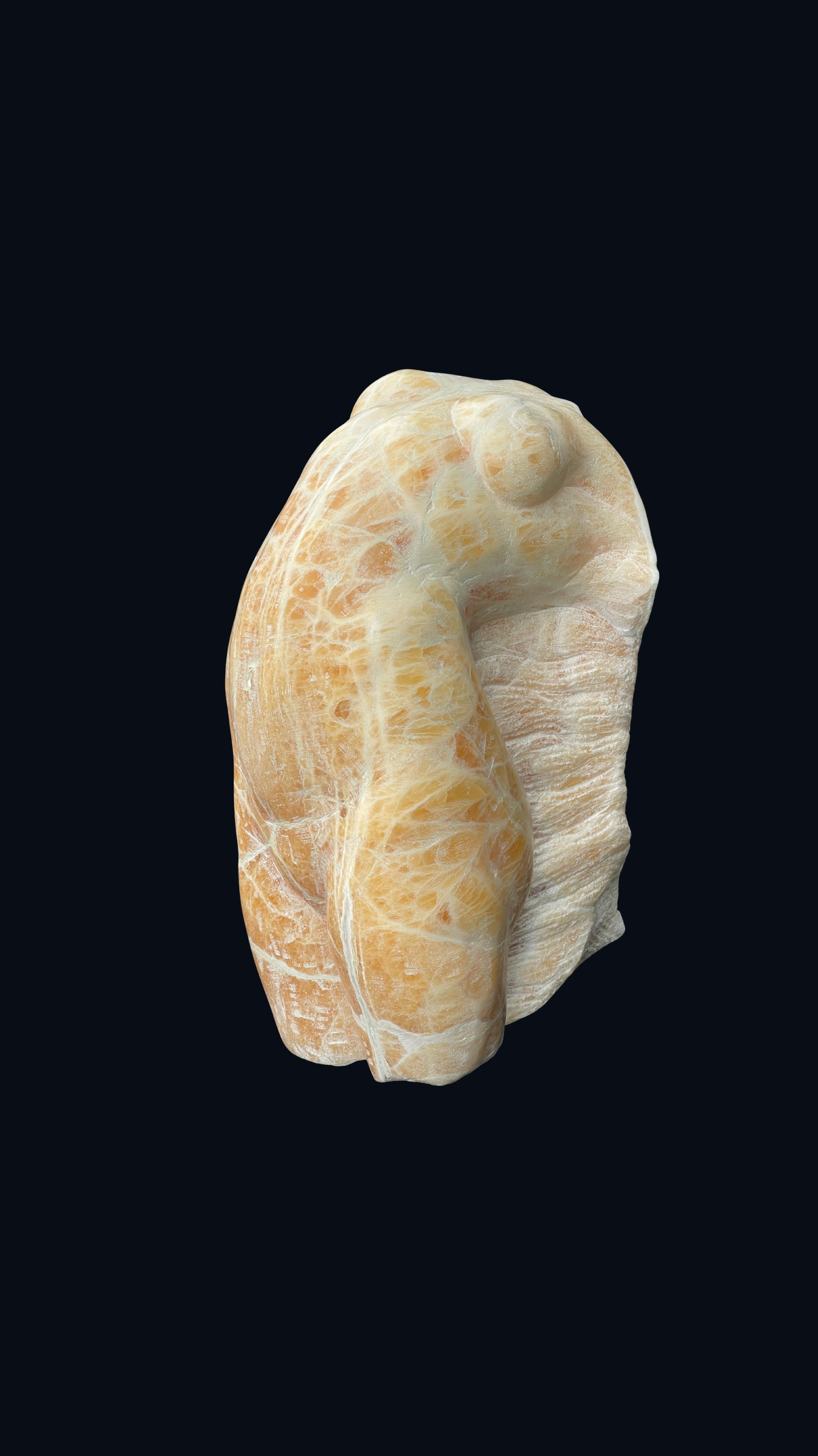 Amber Flow Torso