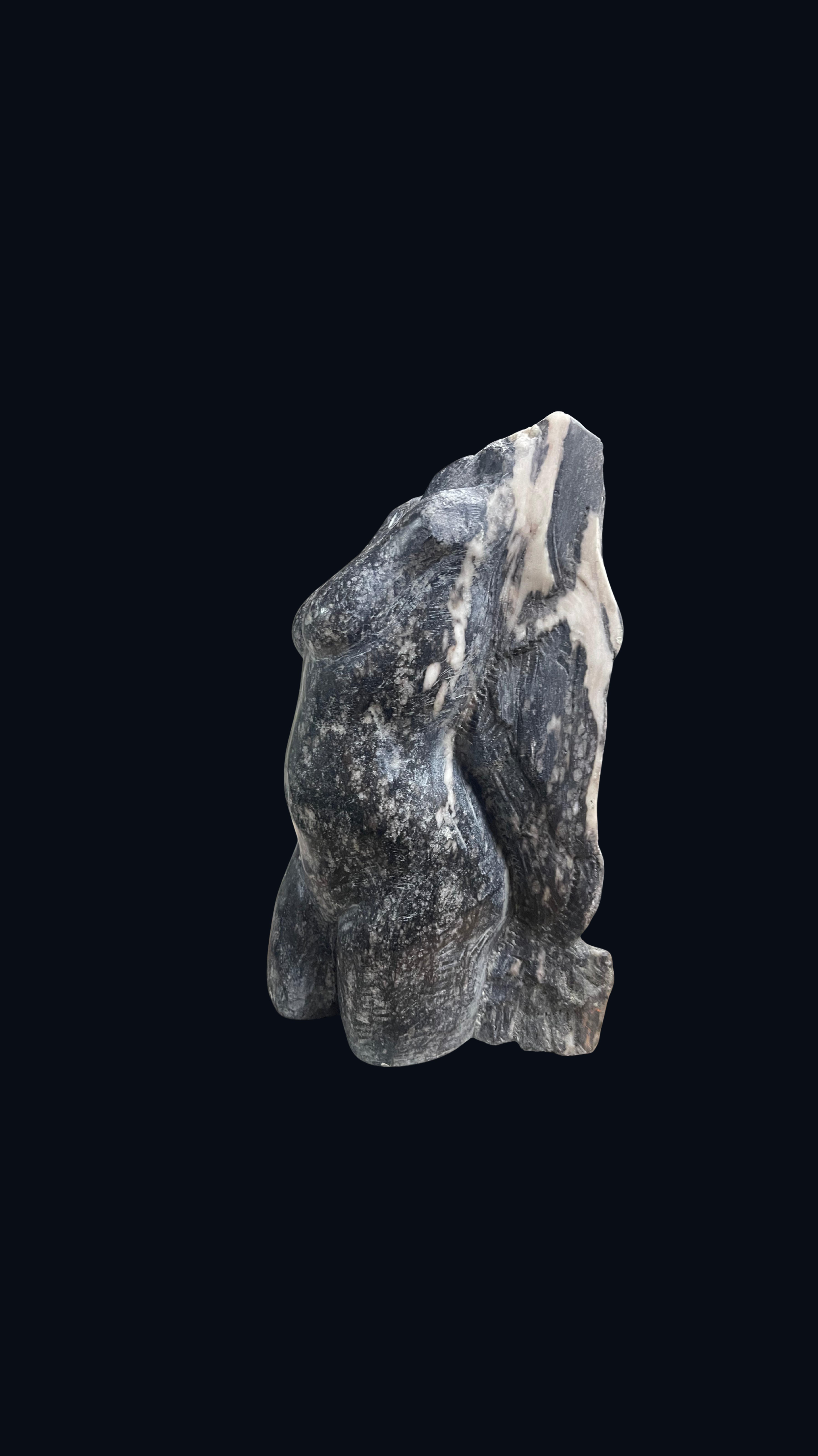 Black Essence Torso