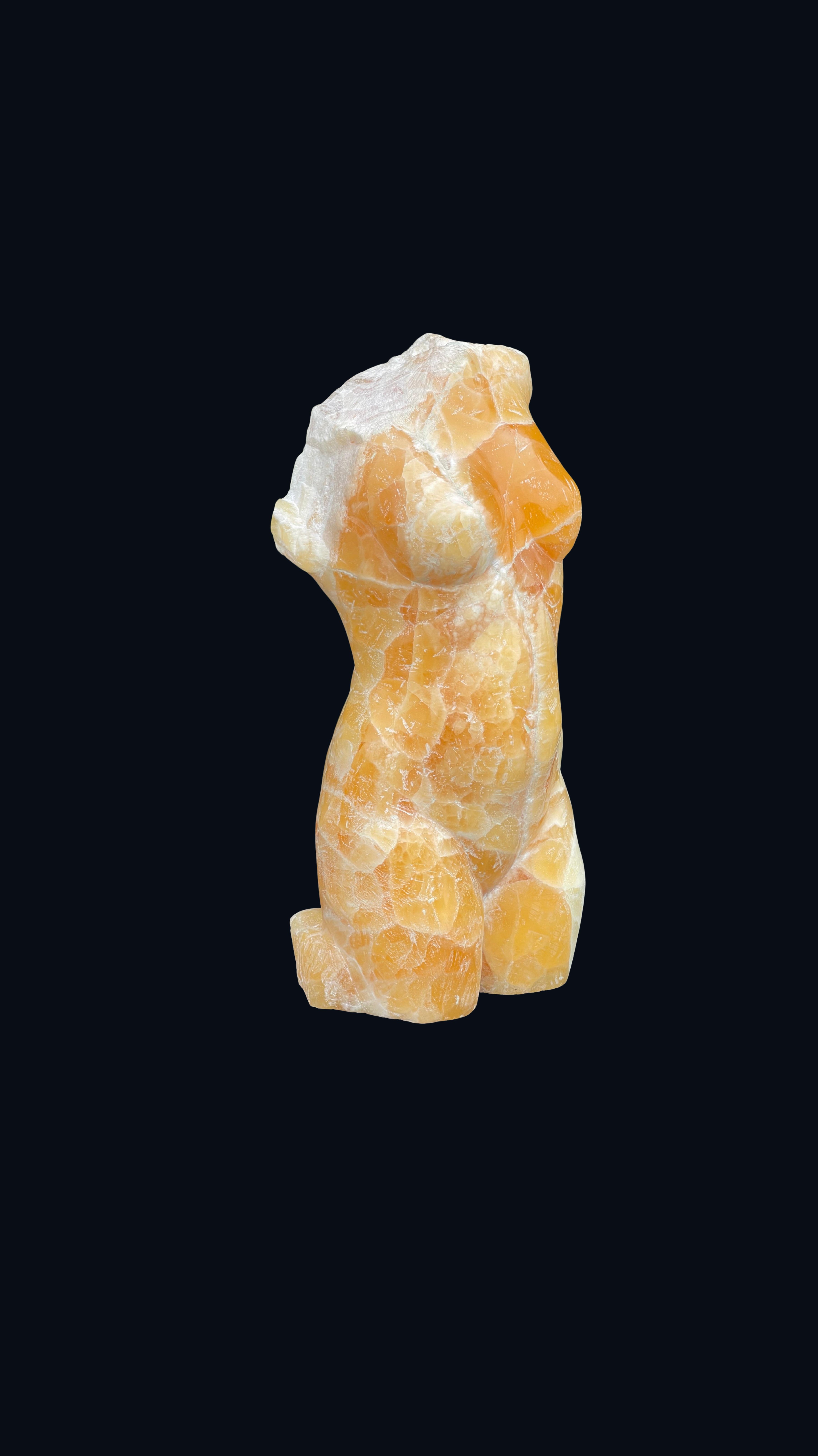 Golden Venus Torso