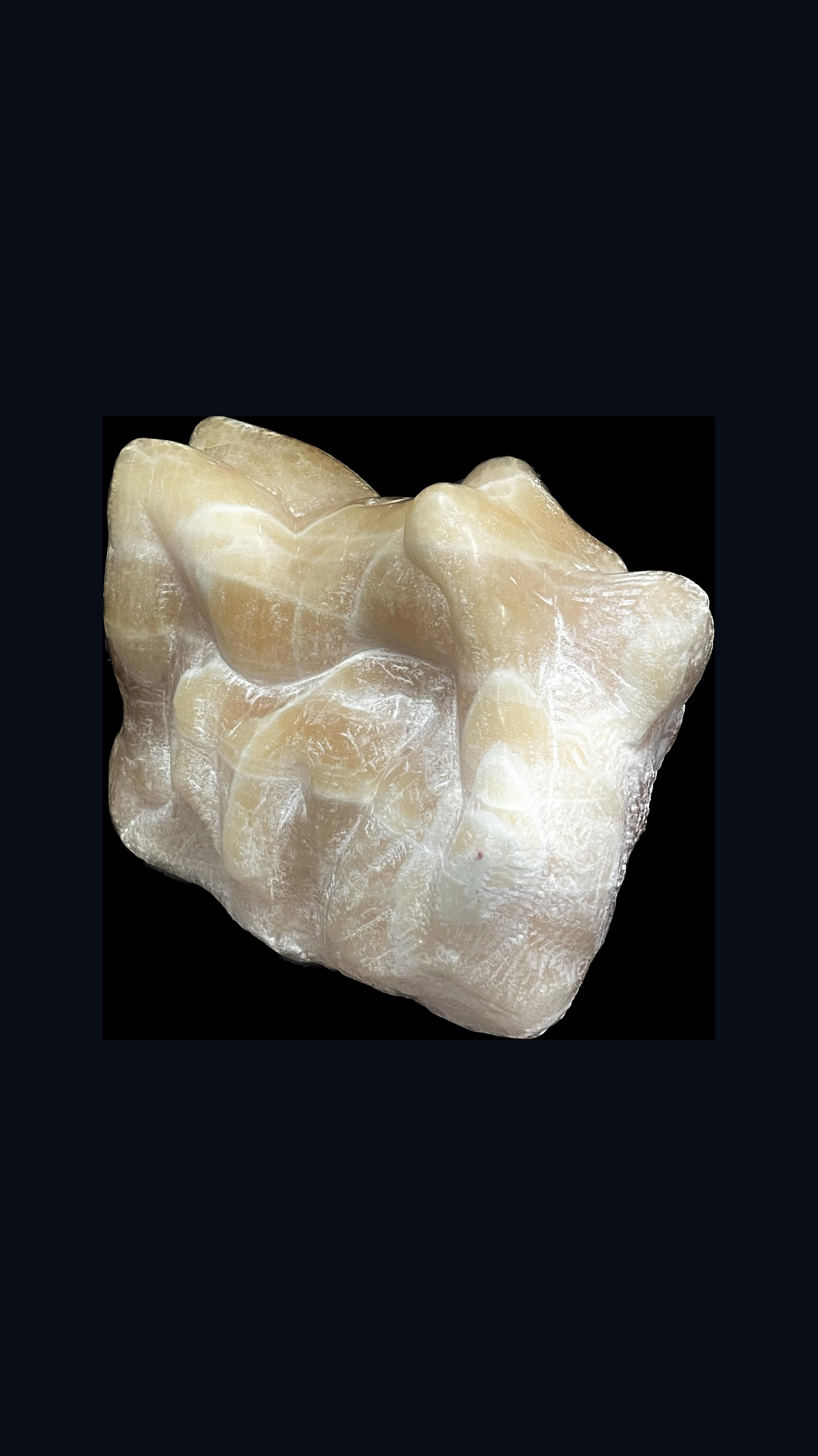 Ivory Dream