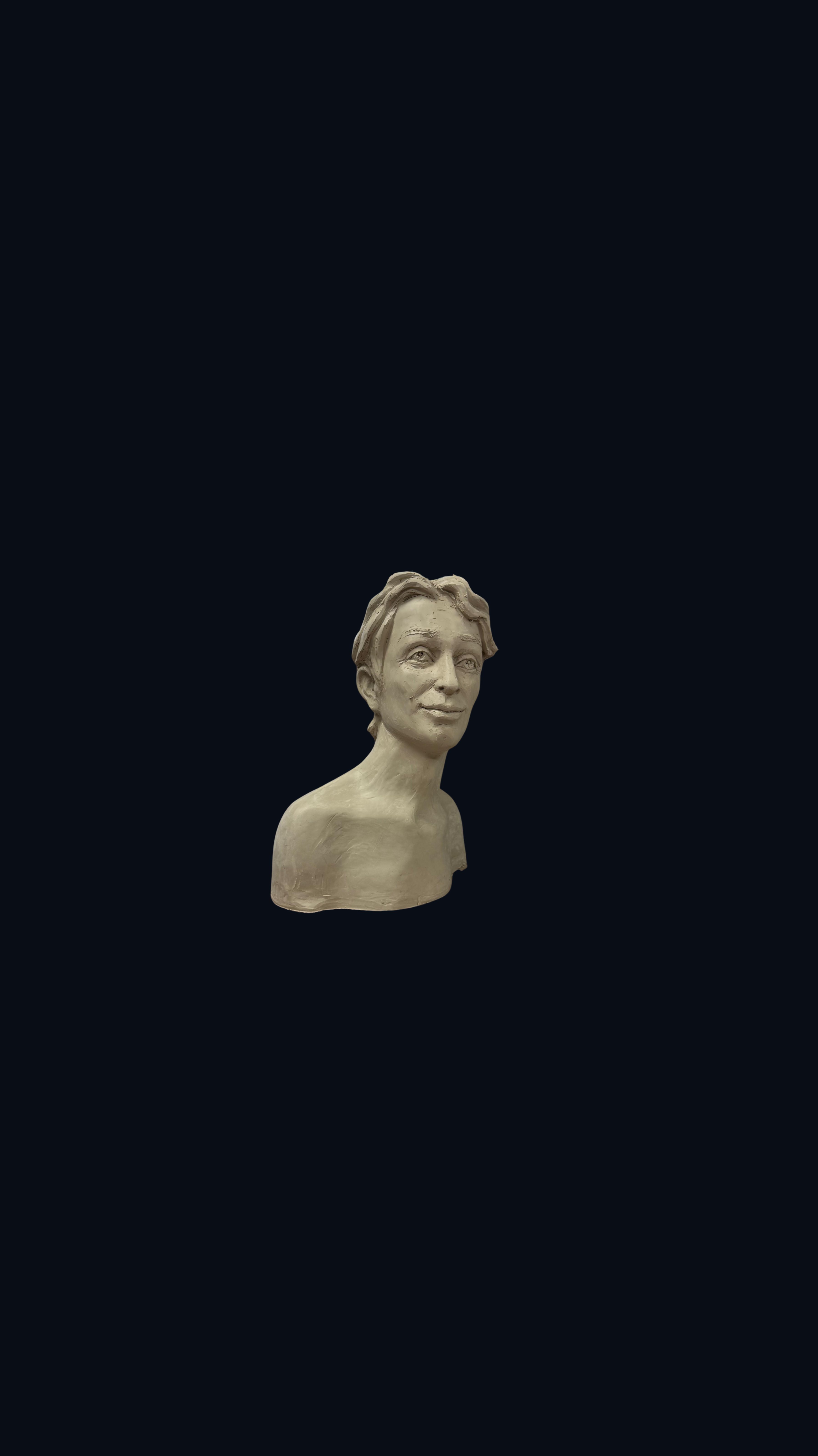 Contemporary Male Bust
